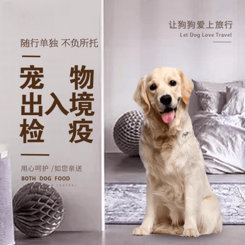 衡阳市宠物托运到哥伦比亚猫狗宠物入境规定和