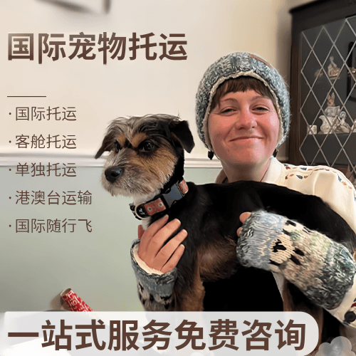衡阳市国际宠物托运到阿根廷宠物入境规定和要