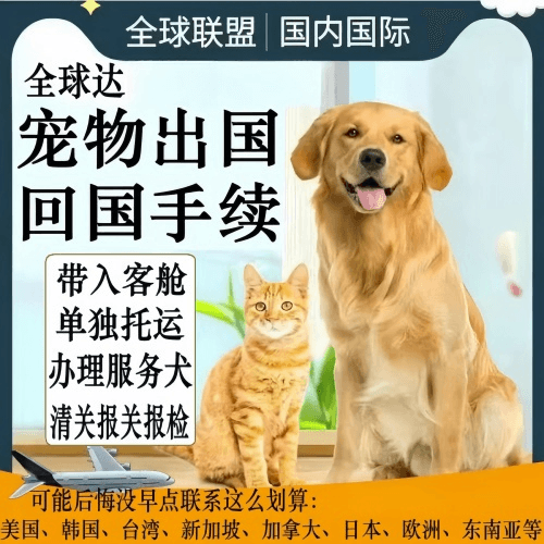 衡阳市宠物托运到柬埔寨宠物入境规定和要求