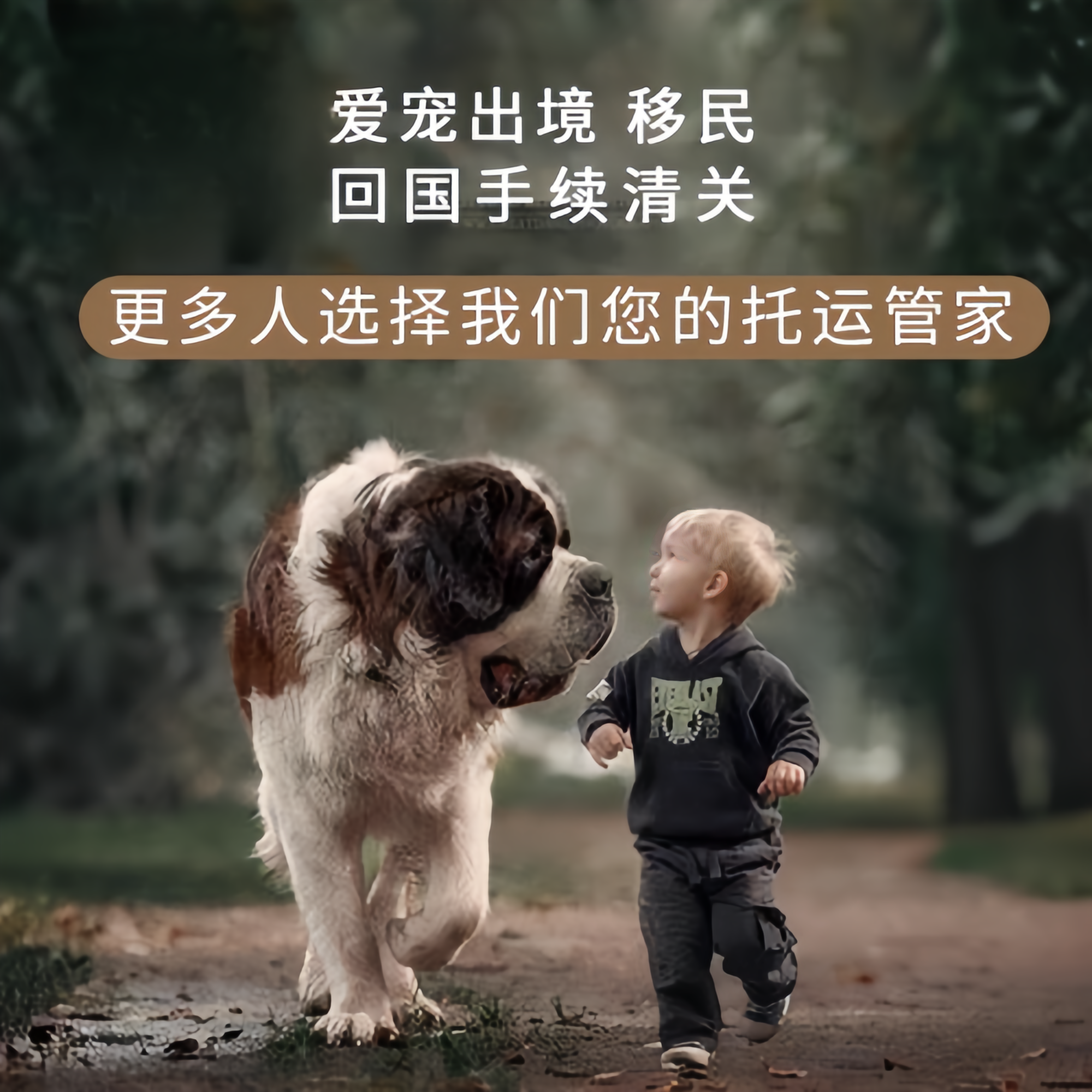 满财衡阳市宠物全球达宠物托运在遵守入境目的地政策的条件