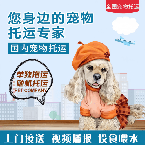 满财衡阳市宠物全球达宠物托运作为专业的宠物运输代理机构